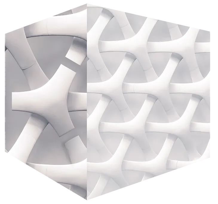 Global Coaching Network | Empowering senior leaders to discover new perspectives | Praesta Executive coaching