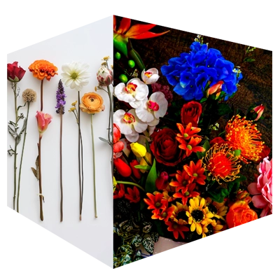 Embracing Difference | Praesta Executive coaching